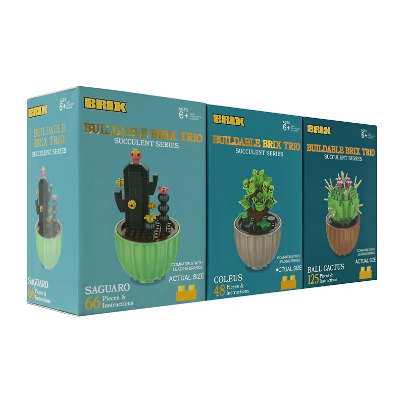Succulent Buildable Brix Trio 3-Pack