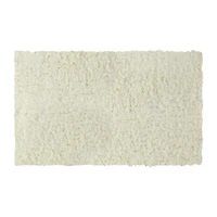 Shaggy Rug 33inx68in