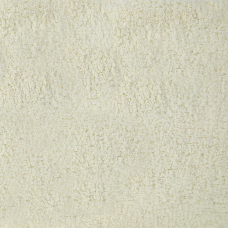 Shaggy Rug 33inx68in