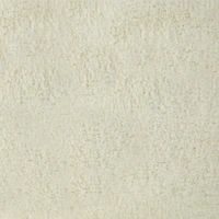 Shaggy Rug 33inx68in