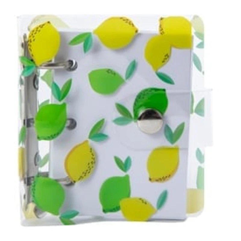 Mini Clasp Journal 3.93in x 3.7in