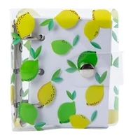 Mini Clasp Journal 3.93in x 3.7in