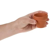 Mini Potted Plant Grow Kit - Mini Rose