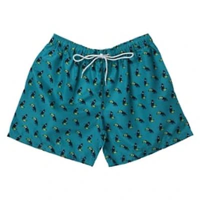 Young Men's Teal Toucan Swim Shorts