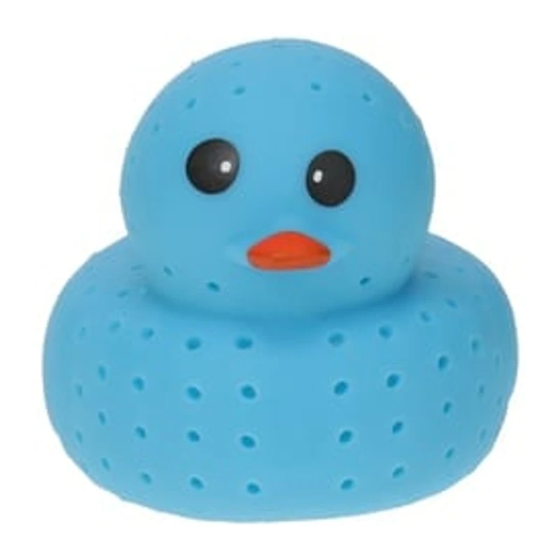 Splash Duck Toy