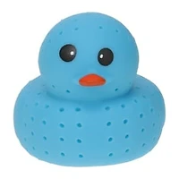 Splash Duck Toy