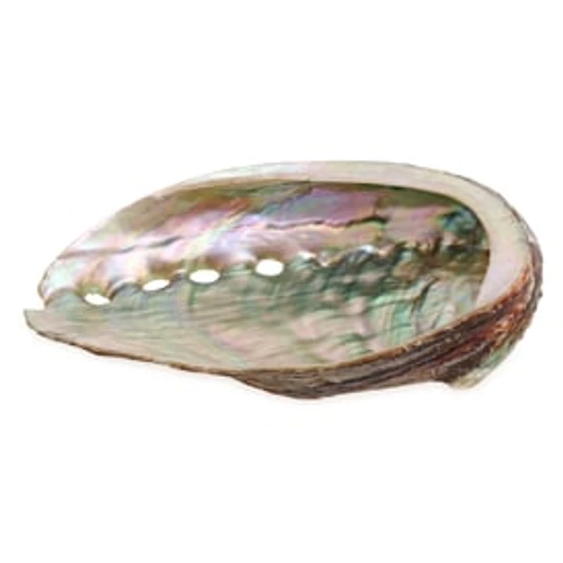 Natural Abalone Shell Smudging Dish