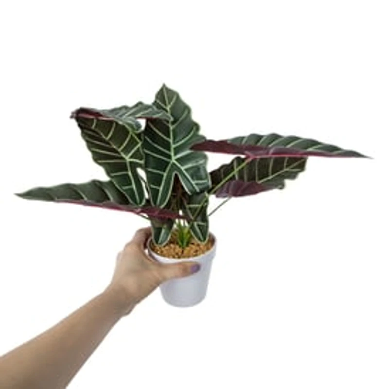 Faux Plant