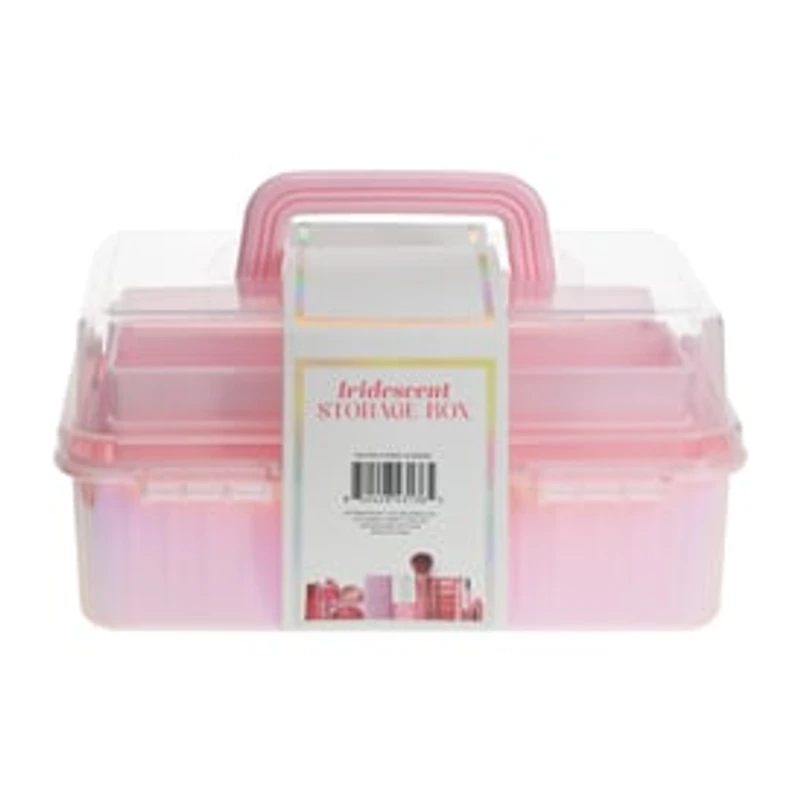 Iridescent Storage Box
