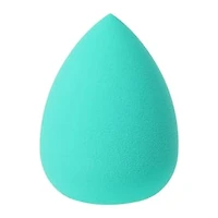 Infused Beauty Sponge