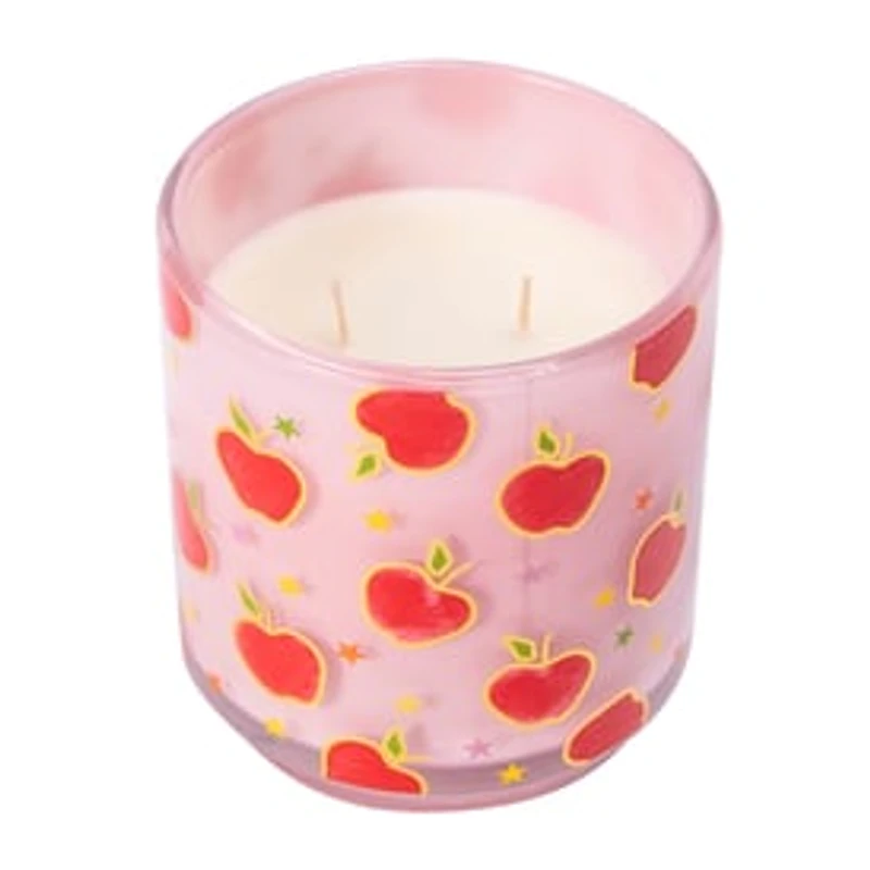Fall Collection Scented Candle 10oz