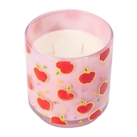 Fall Collection Scented Candle 10oz