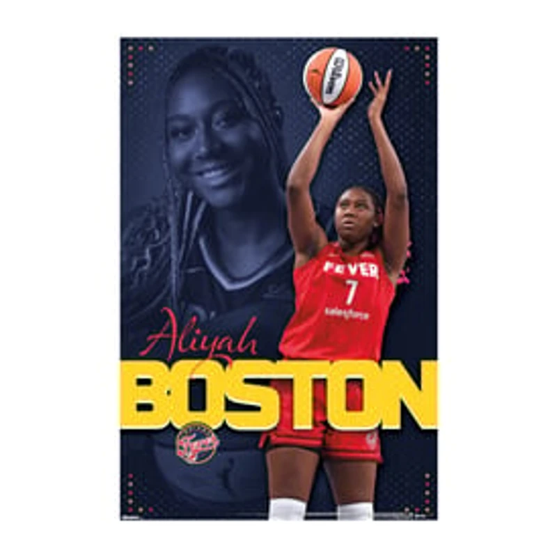 Wall Posters
