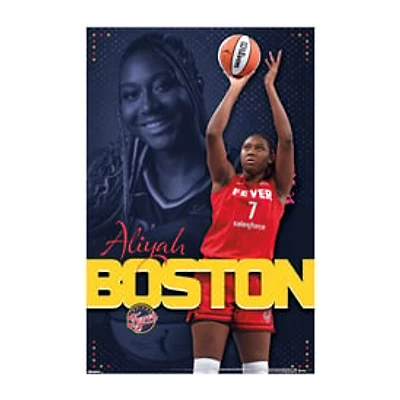 Wall Posters