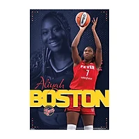 Wall Posters