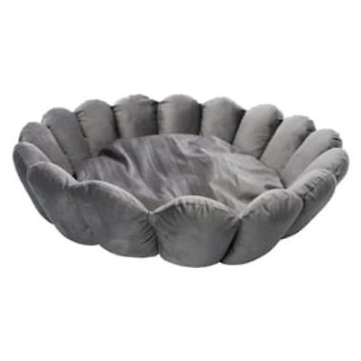 Scalloped Pet Bed 20in x 20in