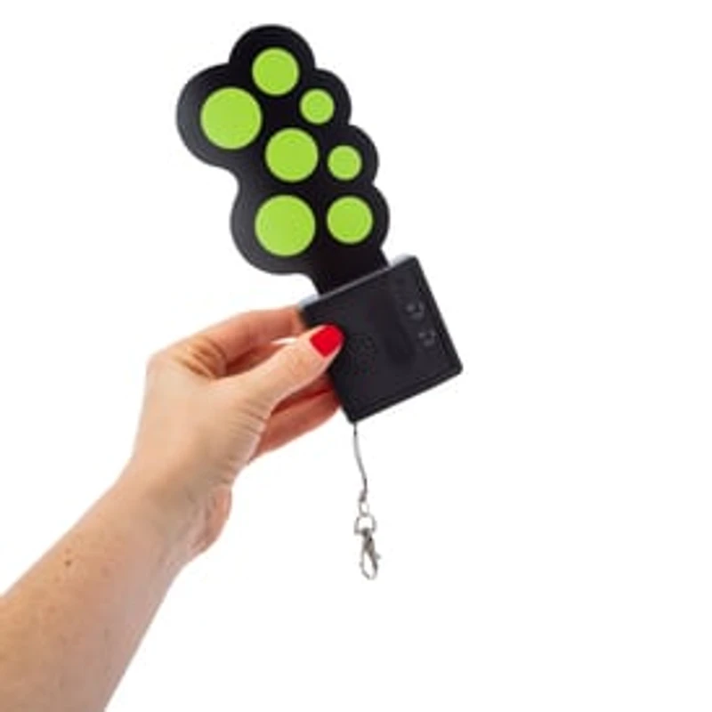 Mini Music Keychain