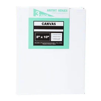 8in x 10in Stretched Canvas 3-Count