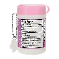 Strawberry Shortcake™ Hand Sanitizing Wipes 20-Pack