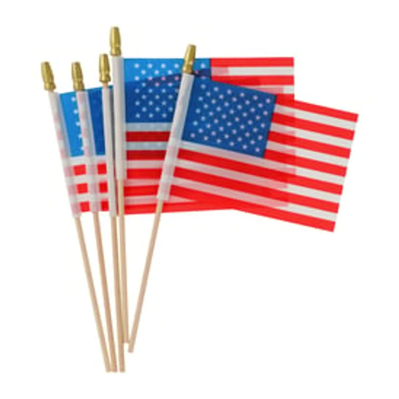 Mini Flags 5-Pack