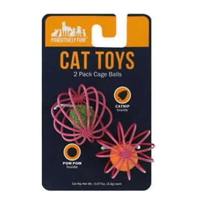 Pawsitively Fun! Cat Toys 2-Pack