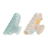 Claw Clip 2-Pack