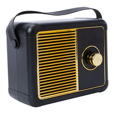 Retro Wireless Speaker With Fm Radio