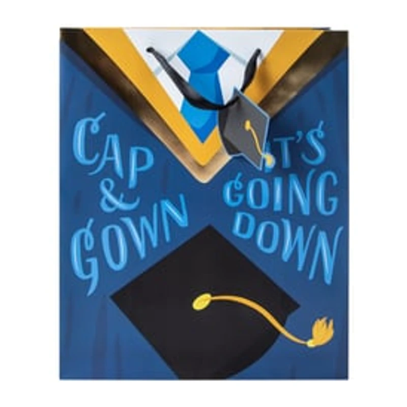 Graduation Gift Bags