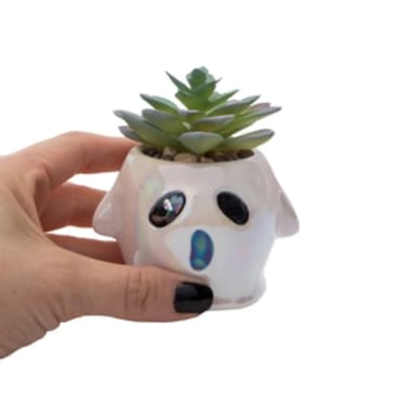 Ghost Faux Succulent