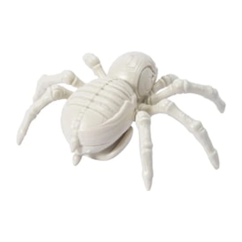 Halloween Skeleton Spider Décor