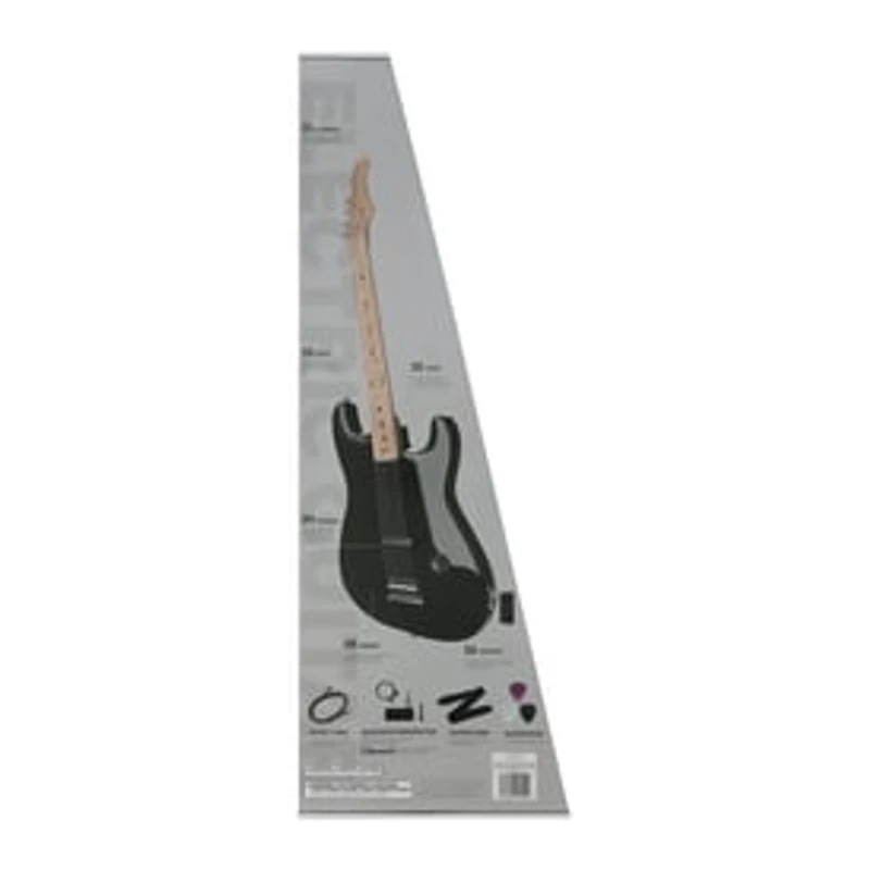 Electric Guitar