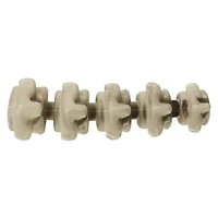 Halloween Skeleton Bone Decor