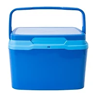 Mini Cooler