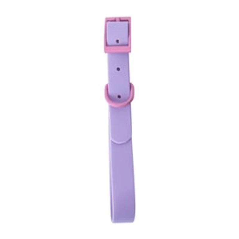 Pawsitively Fun! Pet Collar