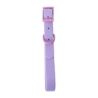 Pawsitively Fun! Pet Collar