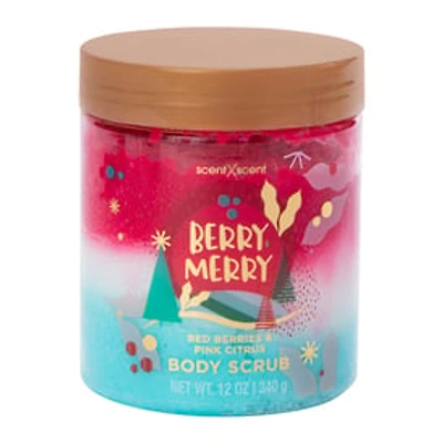 Holiday Body Scrub 12oz