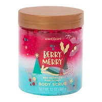 Holiday Body Scrub 12oz