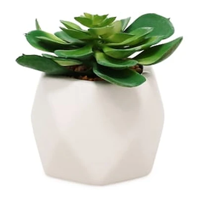 Faux Succulent Faceted Ceramic Pot 5in