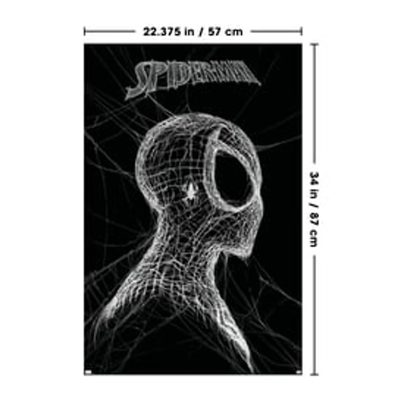 Wall Poster 22.3" x 34"
