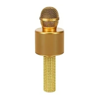 Gold Karaoke Microphone