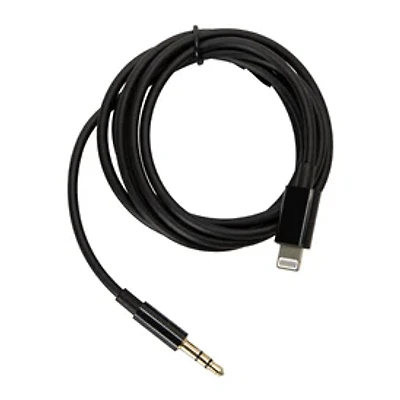 4ft 8-Pin To Aux Audio Cable