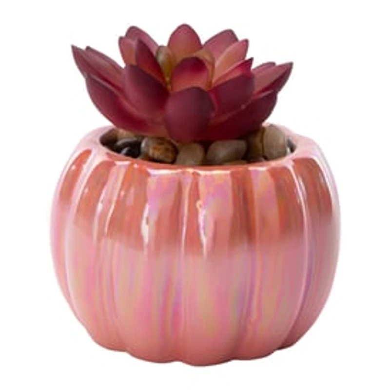 Pumpkin Faux Succulent