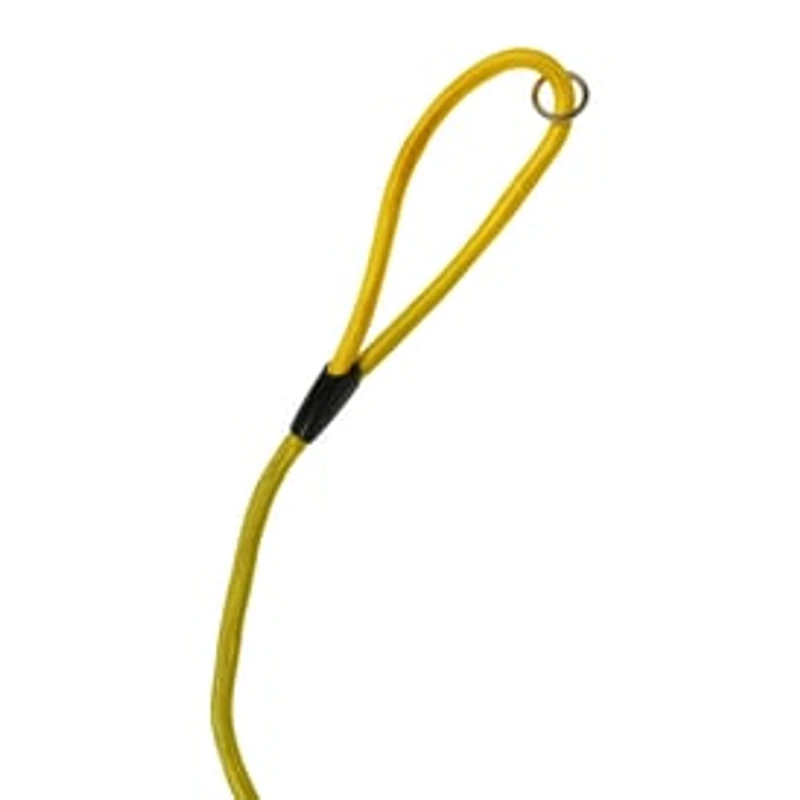 Hands-Free Dog Leash 79in