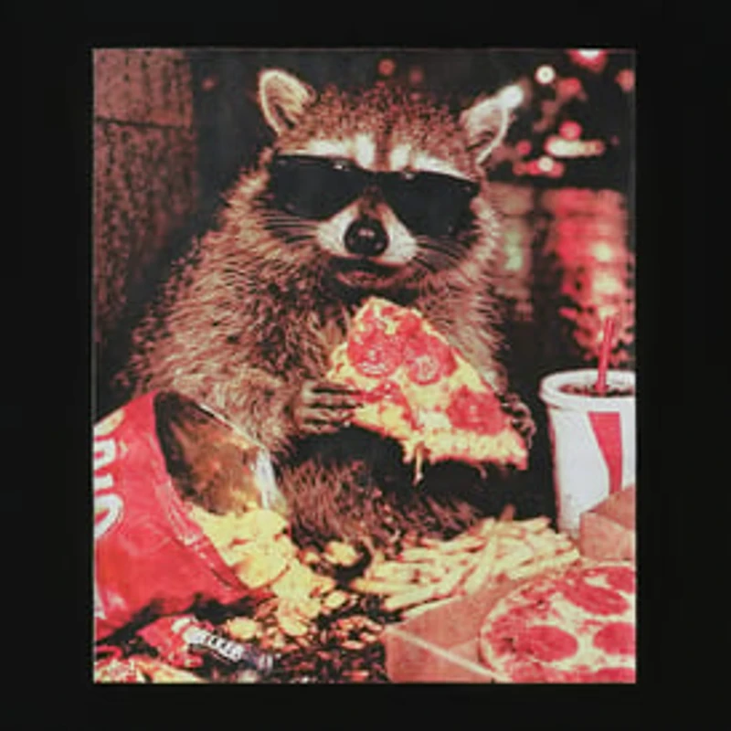 Pizza Raccoon Graphic Tee