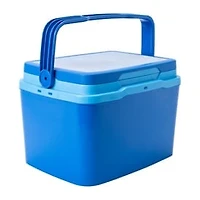 Mini Cooler