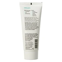 Freeman® Purifying Cream Mask 3oz