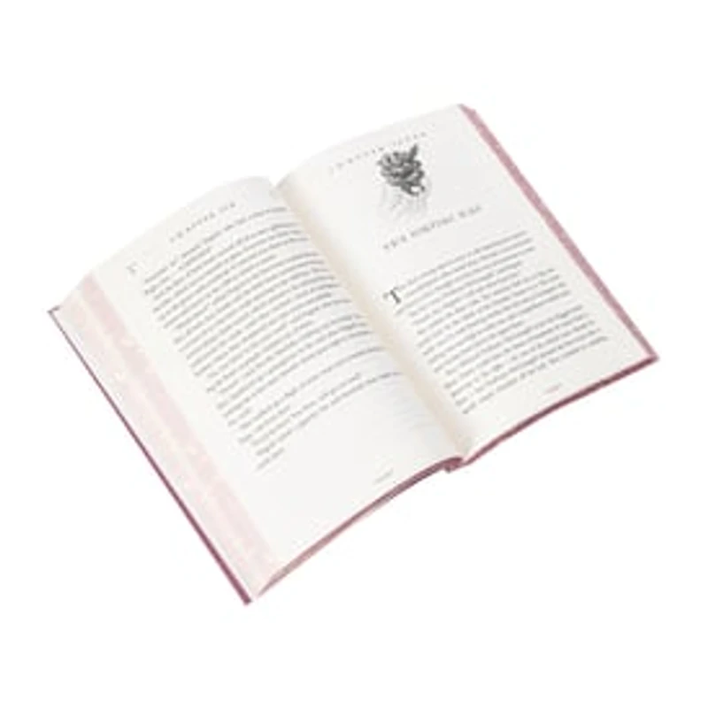 Harry Potter And The Socerer's Stone Book