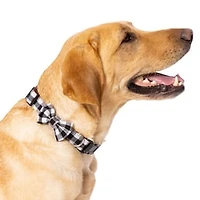 Christmas Dog Collar