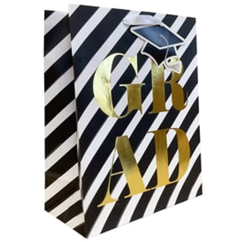 Large Graduation Print Gift Bag 12.75in x 10.375in