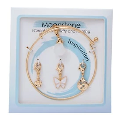 Faux Crystal interchangeable Charm Bracelet